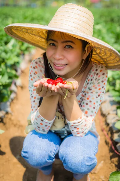 Asiático chica cosechando fresa en fresa granja — Foto de Stock