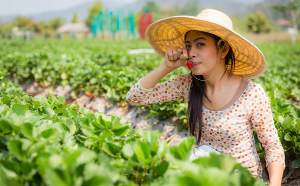 Asiatico ragazza raccolta fragola in fragola fattoria — Foto Stock