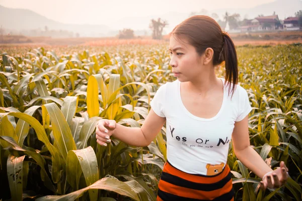 Mujer en el campo con luz solar —  Fotos de Stock