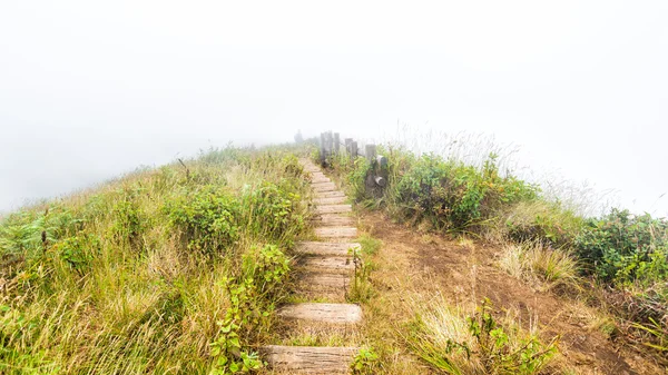 Pathway in field on moutain — Stock Photo, Image