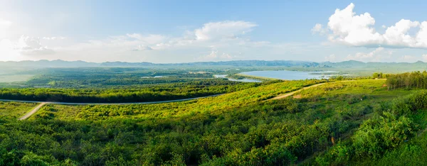 Panorama z mexické slunečnice trávu pole — Stock fotografie