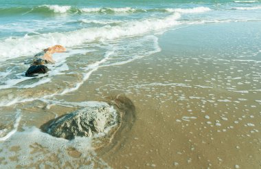 kaya softwave ile sahilde