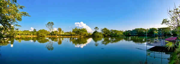 Strom a cloud odraz vody — Stock fotografie
