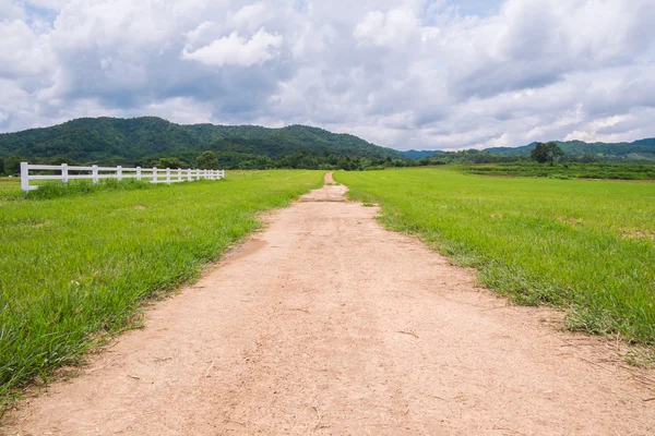 Straße in landwirtschaftlichem Feld bewölkt — Stockfoto