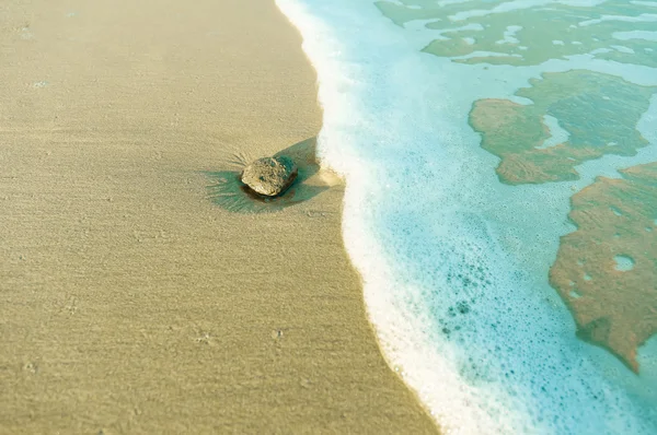Kámen na pláži s softwave — Stock fotografie