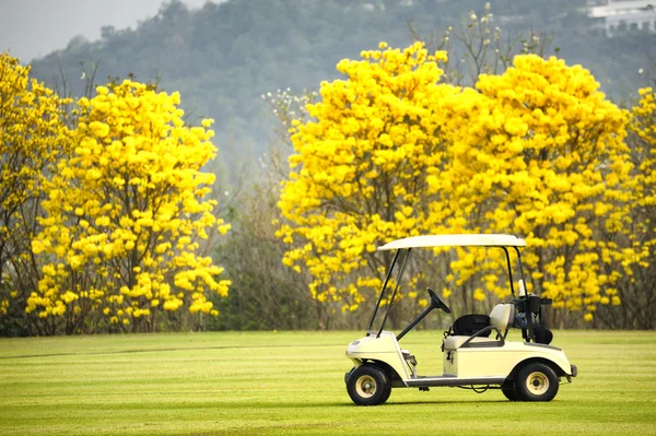 Carro do clube de golfe: sensação da manhã — Fotografia de Stock