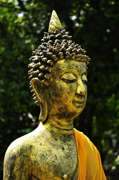 Buddhastatue — Stockfoto