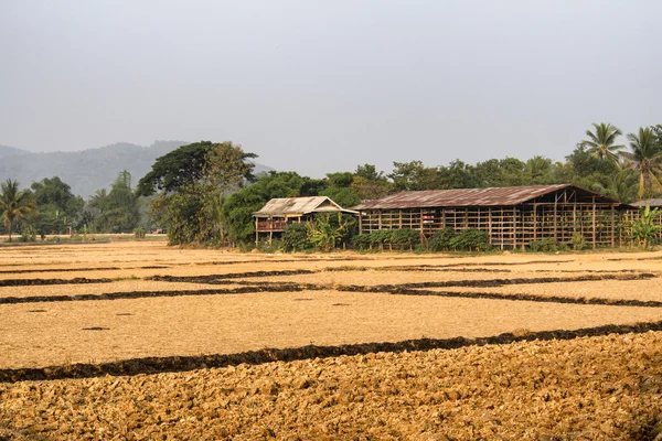 Landwirtschaftliche Flächen — Stockfoto