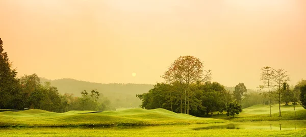 stock image Green golf at morning