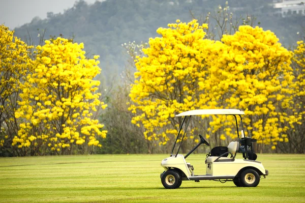 Golf club araba: sabah hissediyorum — Stok fotoğraf