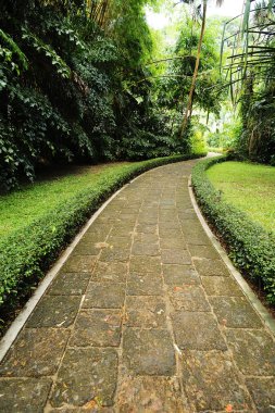 Garden yürüme yolu