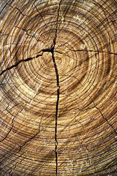 Abstract wood spiral — Stock Photo, Image