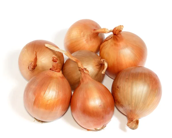 Onions isolated on white background — Stock Photo, Image