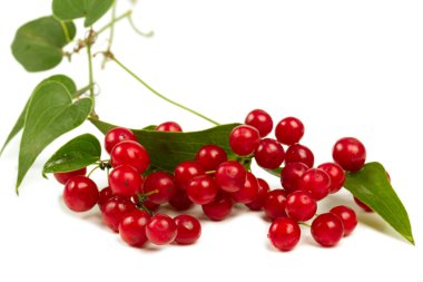 beyaz izole kırmızı meyveler