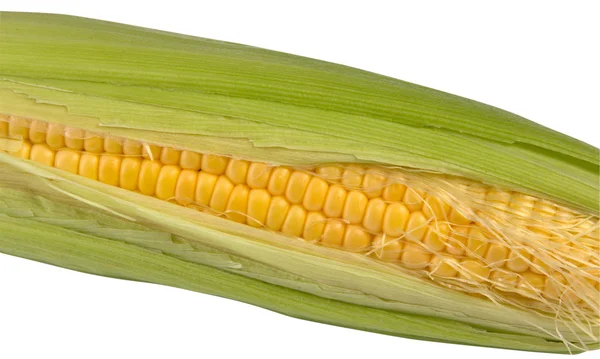 Corn isolated on a white background — Stock Photo, Image