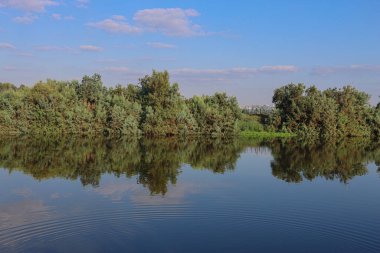 Göl ormanının üzerindeki mavi gökyüzünde güzel bulutlar
