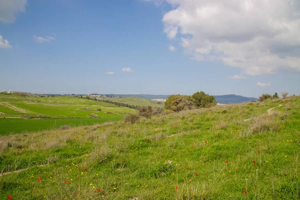 Ciel Bleu Avec Des Nuages Blancs Merveilleux Sur Une Prairie — Photo