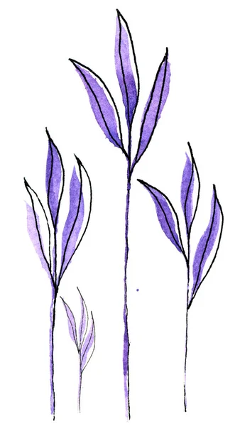 Exotic Hand Painted Watercolor Purple Leaves Black Outline Isolated White — Stock Photo, Image