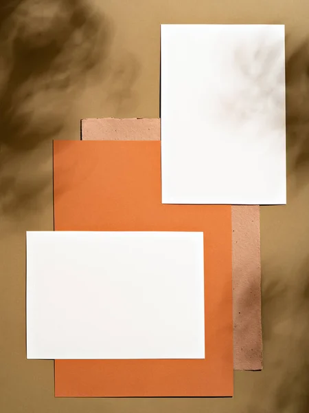 Tarjeta Felicitación Minimalista Diseño Simple Con Hojas Sombra Suave Maqueta —  Fotos de Stock