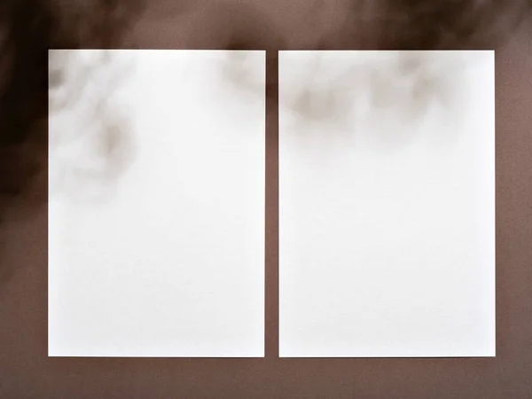 Tarjetas Vacías Blanco Diseño Simple Con Superposición Sombra Suave Tablero —  Fotos de Stock