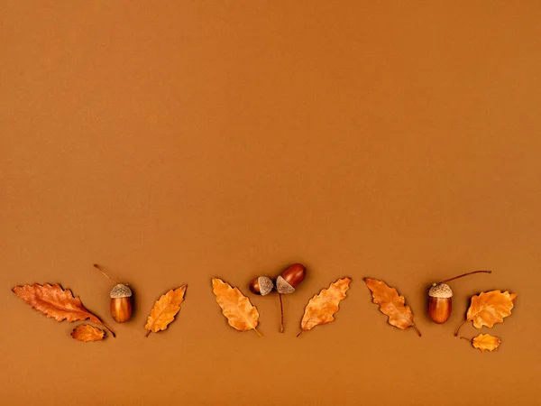 Φθινοπωρινό Φόντο Διάφορα Βοτανικά Πράγματα Όπως Φύλλα Βελανιδιάς Βελανίδια Σύνθεση — Φωτογραφία Αρχείου