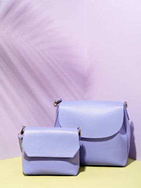 Minimalist stil kadın aksesuarları. Tropik yaprak gölgeli modaya uygun mor çapraz vücut çantaları. Fotokopi alanı olan yaz indirimi. Tarz ve minimalist moda konsepti.