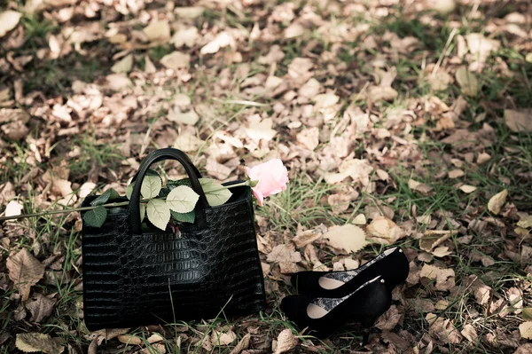 Bag and rose — Stock Photo, Image