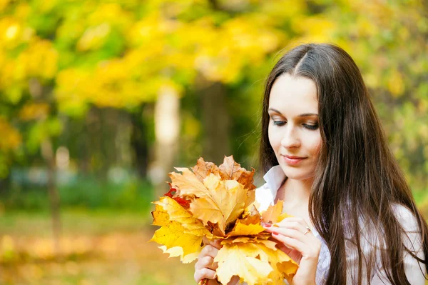 Kytice podzimních listů — Stock fotografie