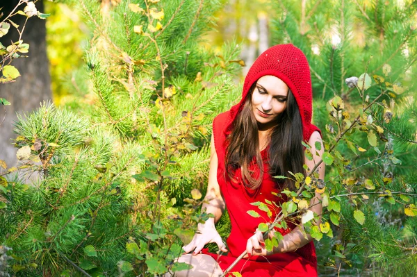 Lady in red — Stock Photo, Image