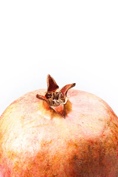 Granatapfel — Stockfoto