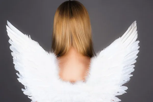 Angel wings — Stock Photo, Image