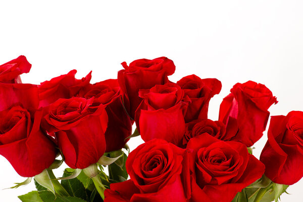 Bouquet of red roses