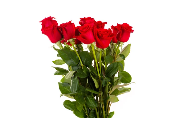 Bouquet of red roses — Stock Photo, Image