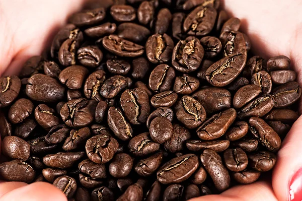 Coffee beans in hands — Stock Photo, Image