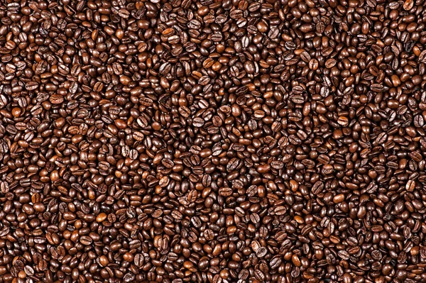 Background of the coffee beans — Stock Photo, Image
