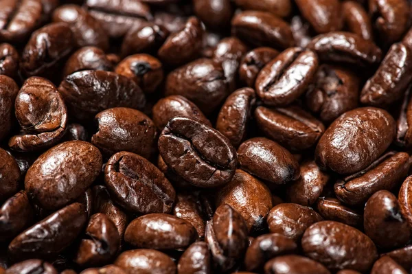 Арабский кофе в зернах — стоковое фото
