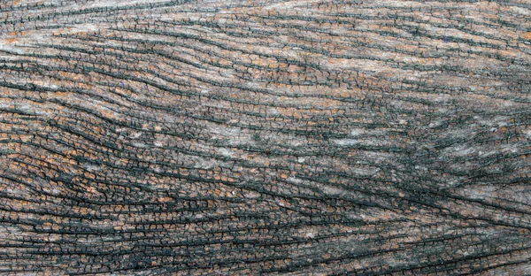 Текстура мокрой старой древесины для фона . — стоковое фото