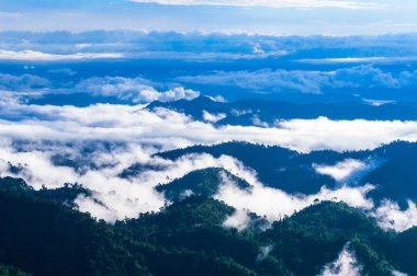 tepenin görünümü tanga pha phum milli parkta thail sabahı