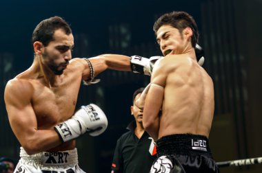 Leo pinto, Fas Tay dövüş 2013 yılında Fransa ve Burak harfaoui.