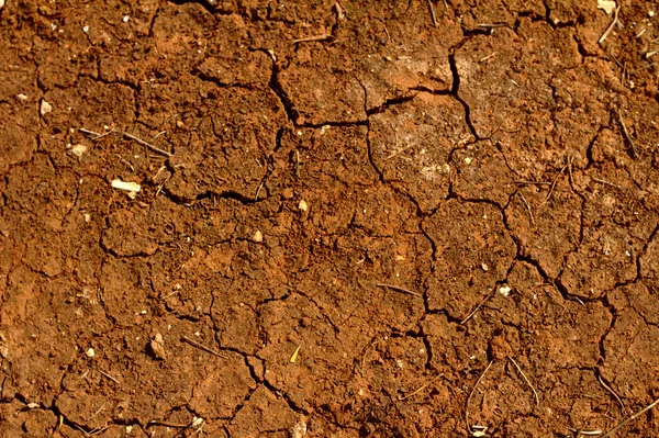 Sequía en el sur de Italia. Tierra roja seca . — Foto de Stock