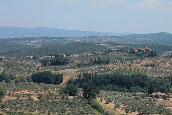 Vinha de Chianti e campo da Toscana — Fotografia de Stock