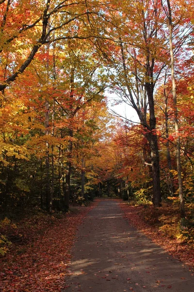 Estrada estreita em Killarney Provincial Park — Fotografia de Stock