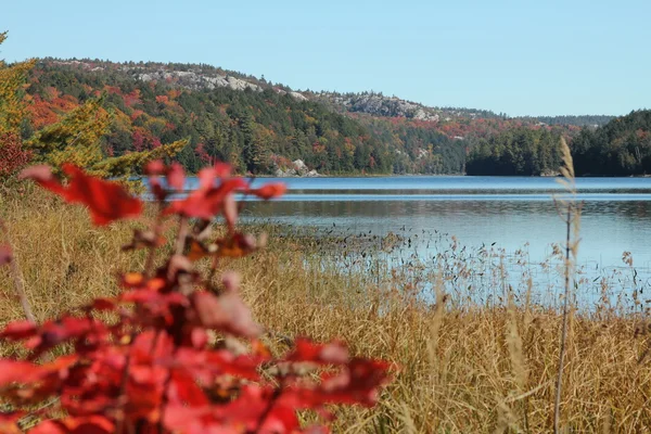 Herfst landschap met meer — Stockfoto