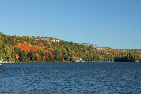 Paysage de feuillage avec lac — Photo