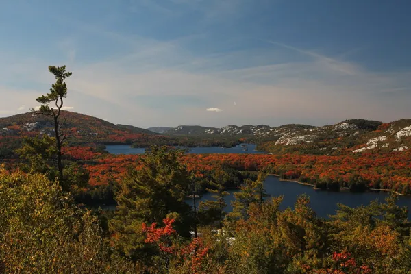 Vista de los lagos de Killarney en otoño — Foto de Stock