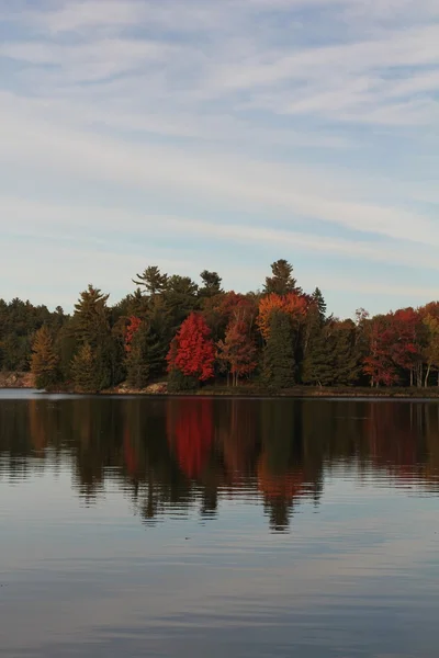 Herfst bomen als gevolg van op kalme meer — Stockfoto