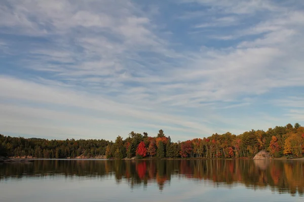 Падающие деревья, отражающиеся на спокойном озере - снимок HDR — стоковое фото