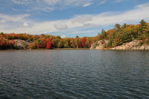 Lake en herfst bos — Stockfoto