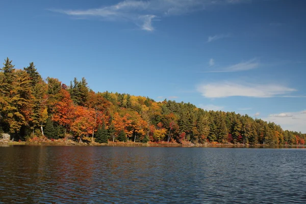 Lac et arbres d'automne réfléchissant sur l'eau calme — Photo