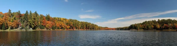 Foto panorâmica do lago e floresta de outono — Fotografia de Stock